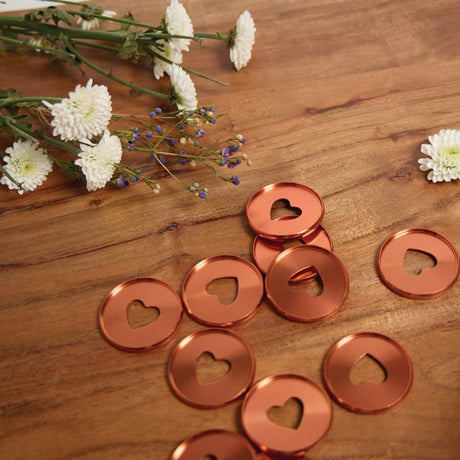 Happy Planner Coral Metal Expander Discs