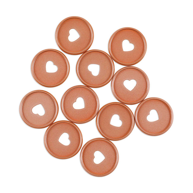 Happy Planner Chai Spice Medium Pearl Powder Metal Disc Set