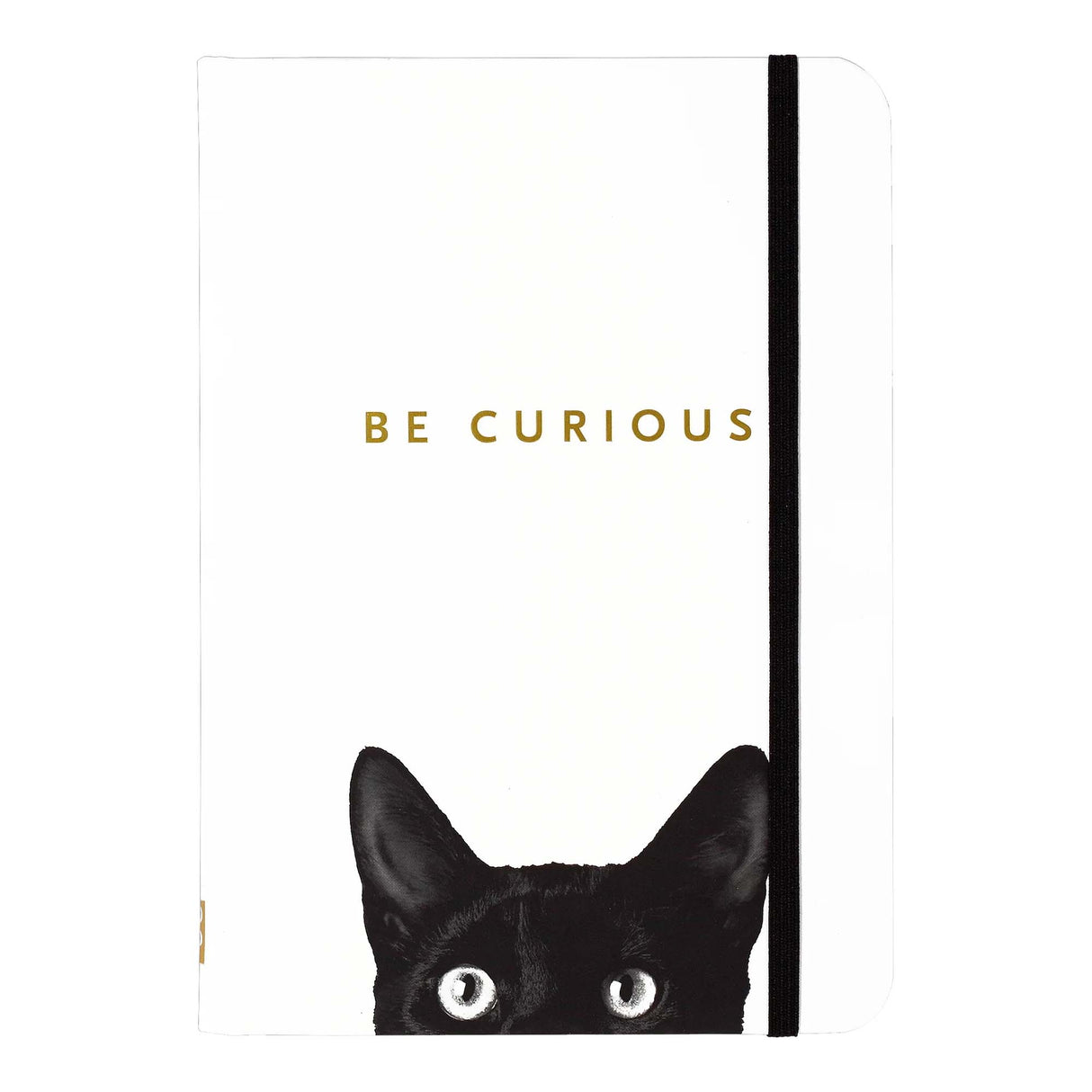 Curious Cat Journal Notebook