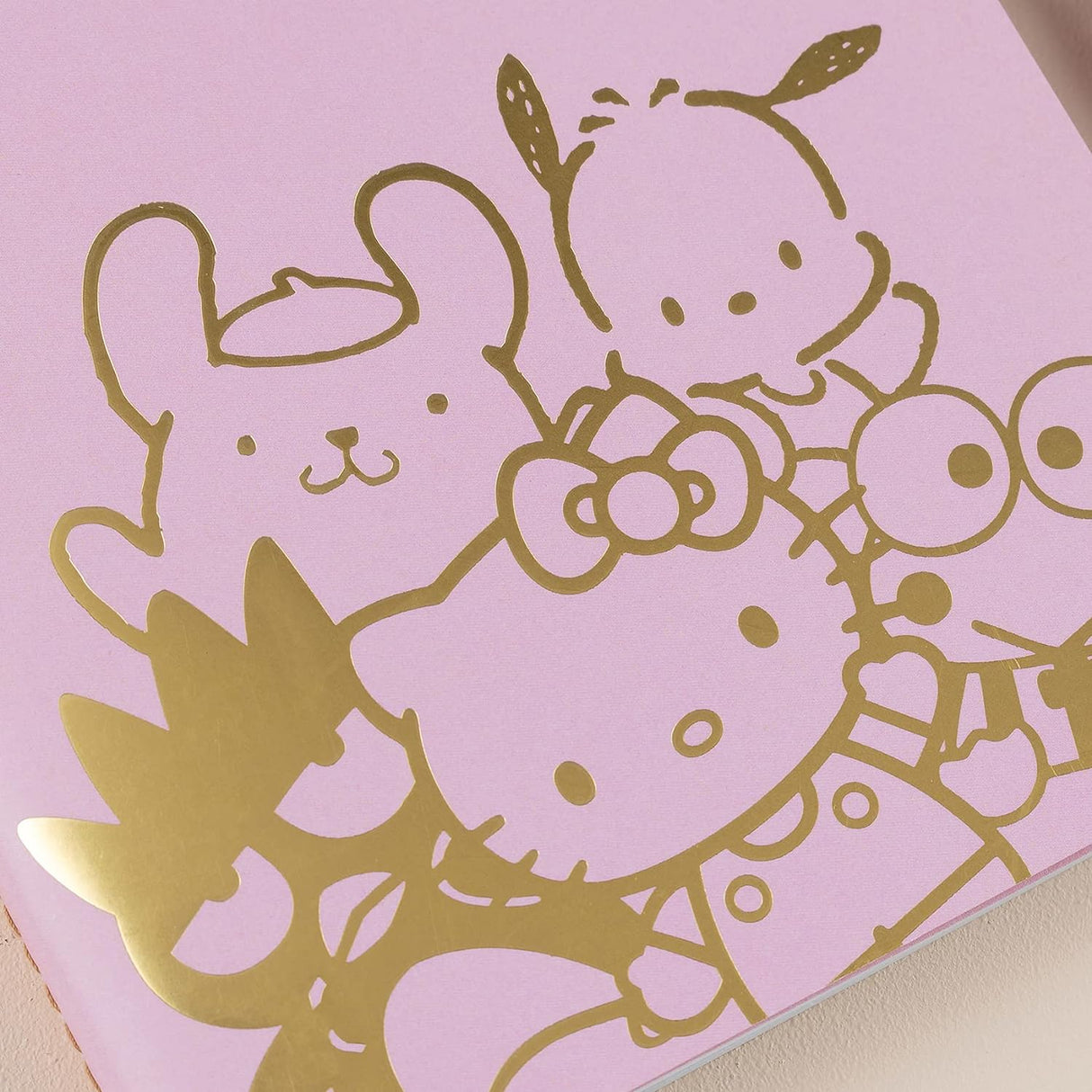 Erin Condren Hello Kitty & Friends Petite Notebook - Lined