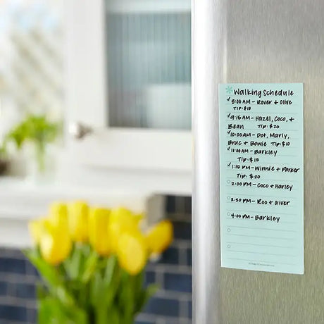 Reusable Sticky Notes