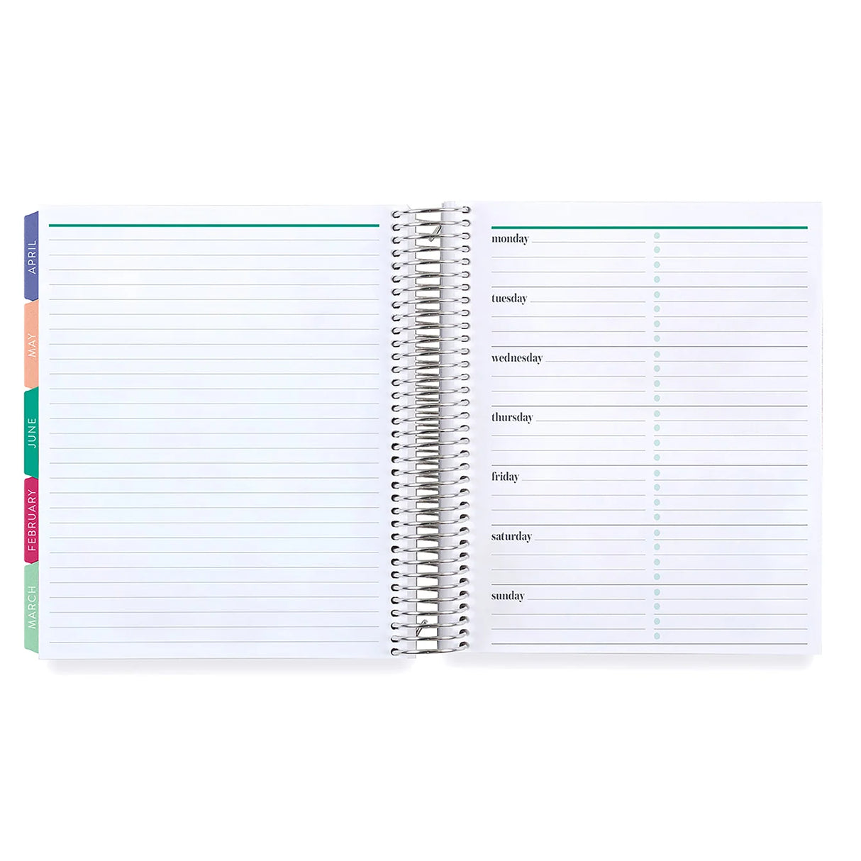 Erin Condren 7x9 Daily Duo Evolve Planner - 12-Month Dated 2025