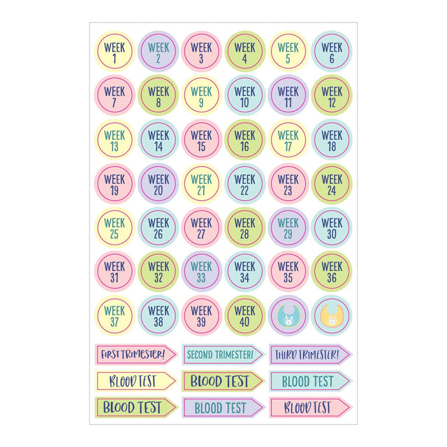 Essentials Pregnancy & Baby Planner Stickers