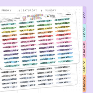Trimester 1 to 3 with 12 Weeks Scribble Stickers