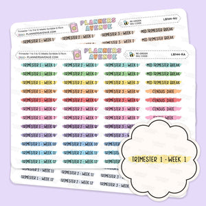 Trimester 1 to 3 with 12 Weeks Scribble Stickers