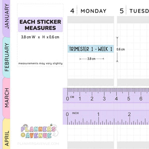 Trimester 1 to 3 with 12 Weeks Header Stickers