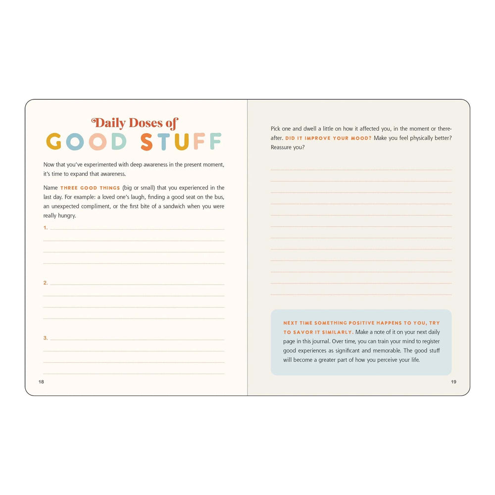 Positive Thinking Journal - 5 Minute Daily Wellness | Peter Pauper Press