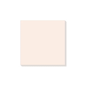 Happy Planner Modern Charm Velum Sticky Notes on a white background