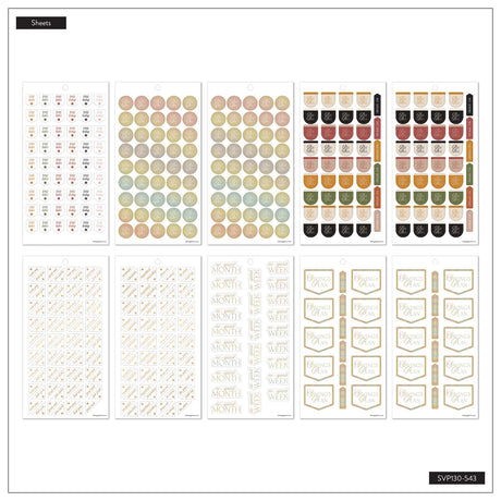 Happy Planner Amber & Oak Budget sticker sheets with circular labels, payday icons and savings goal flags