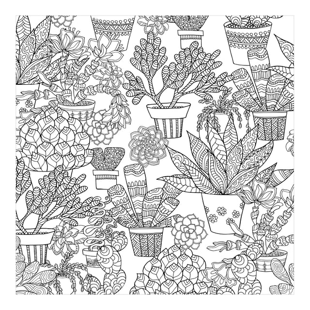 Succulents Artists Colouring Book