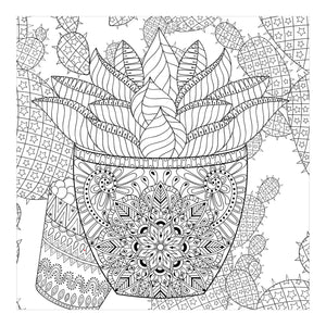 Succulents Artists Colouring Book