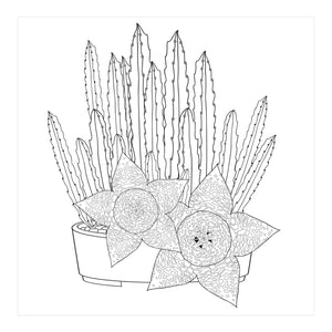 Succulents Artists Colouring Book