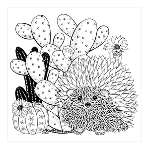 Succulents Artists Colouring Book