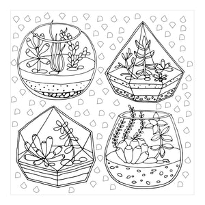 Succulents Artists Colouring Book