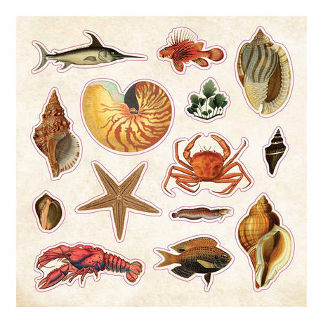 Vintage Sticker Curiosities