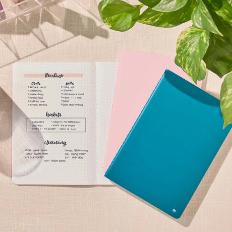 Erin Condren Petite Journal: Dot grid pages used for handwritten notes beside coloured journals
