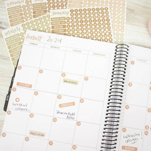 Date Day Months Stickers - Bloom Daily Planners