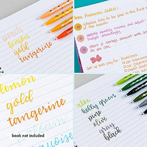 Erin Condren Rainbow Fine-Tip Marker Set