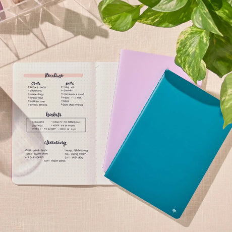 Erin Condren Petite Journal: Dot grid pages with handwritten notes beside coloured journals
