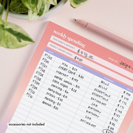 Erin Condren Budget Tracker Notepad - 50 sheets