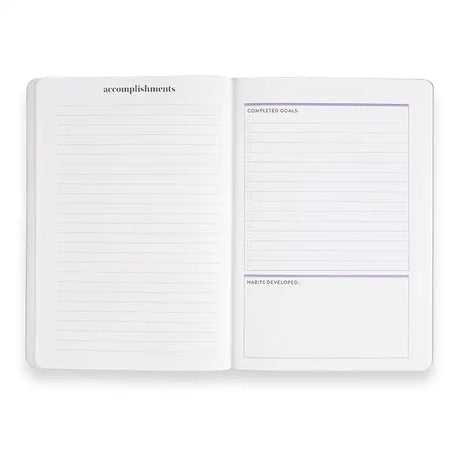 Erin Condren Goal Setting Stripes Petite Planner