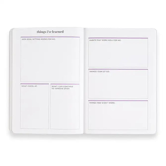 Erin Condren Goal Setting Stripes Petite Planner