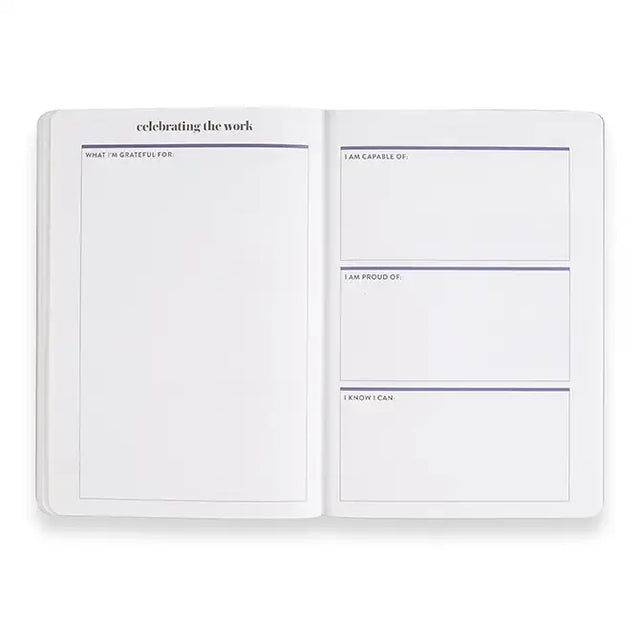 Erin Condren Goal Setting Stripes Petite Planner