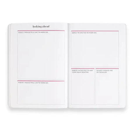 Erin Condren Goal Setting Stripes Petite Planner