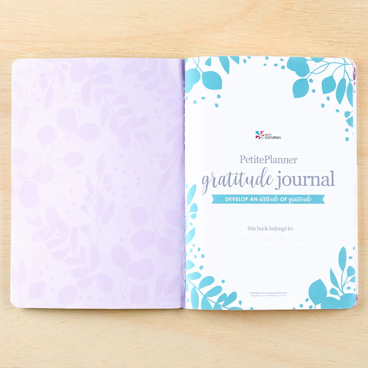Erin Condren Gratitude Journal Beautiful Petite Planner