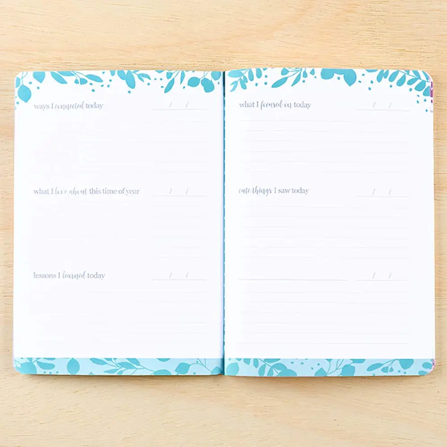 Erin Condren Gratitude Journal Beautiful Petite Planner