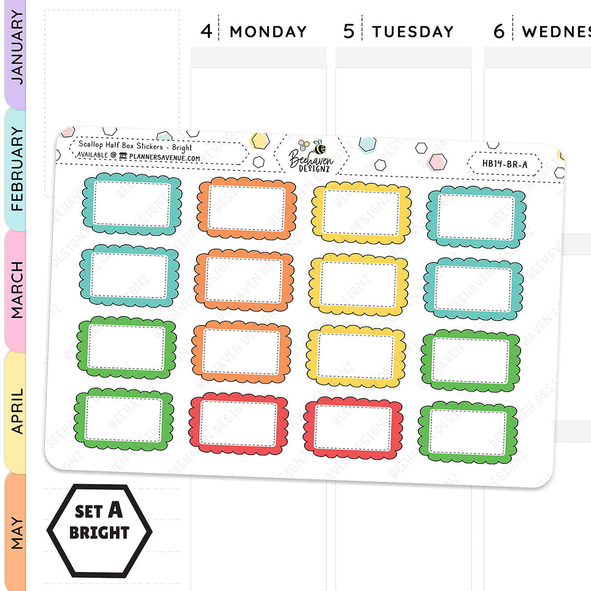 Scallop Half Box Planners Stickers