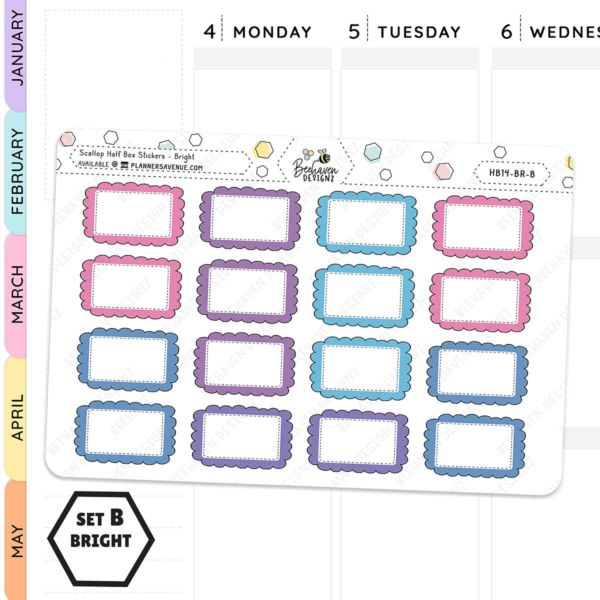 Scallop Half Box Planners Stickers