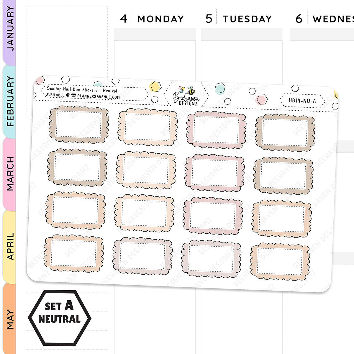 Scallop Half Box Planners Stickers