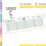 Lucky Charm Planner Washi Stickers