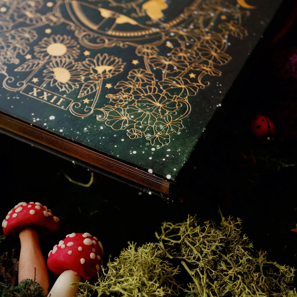 Wonderland Journal Dotted details