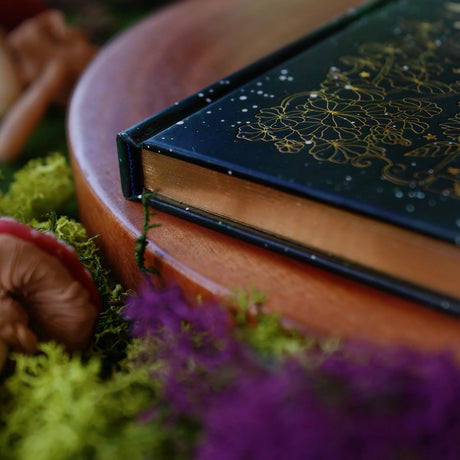 Wonderland Journal Dotted gold page edges 