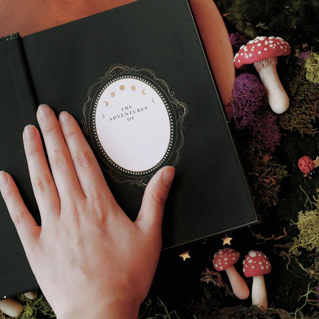 Wonderland Dotted Journal inside cover